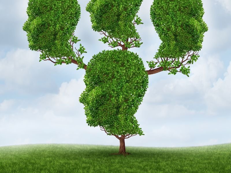 Terapia Holistica com Terapia de Vidas Passadas TVP em Curitiba